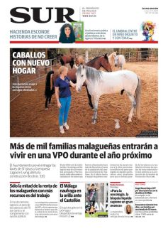 CABALLOS CON NUEVO HOGAR