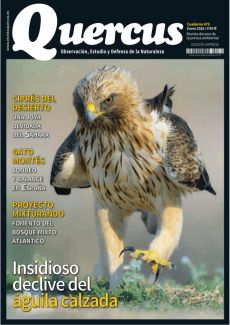 INSIDIOSO DECLIVE DEL ÁGUILA CALZADA